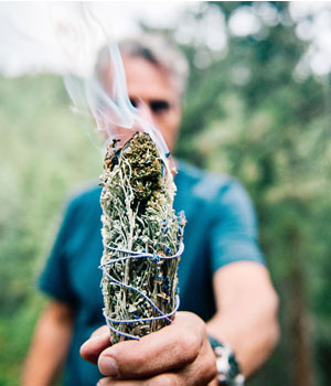 Marijuana SEO for CBD and Cannabis Companies – Dispensary SEO