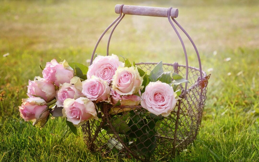 Top Beauty Guest Posting Sites List – SEO Sandwitch Blog